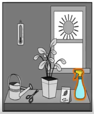 Q3 visual prompt