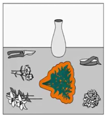 Q5 visual prompt