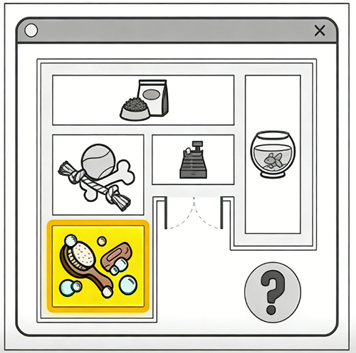 Q3 visual prompt