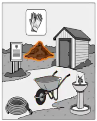 Q19 visual prompt