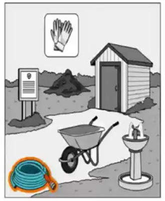 Q20 visual prompt
