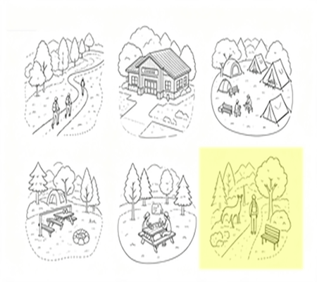 Q5 visual prompt